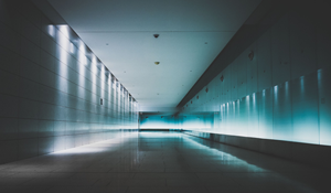 Limpieza y abrillantado de suelos plásticos en Elda - Alicante Limpieza y abrillantado de suelos plásticos en Elda - Alicante