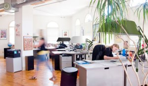 Limpiezas para Empresas en Elda - Alicante Limpiezas para Empresas en Elda - Alicante